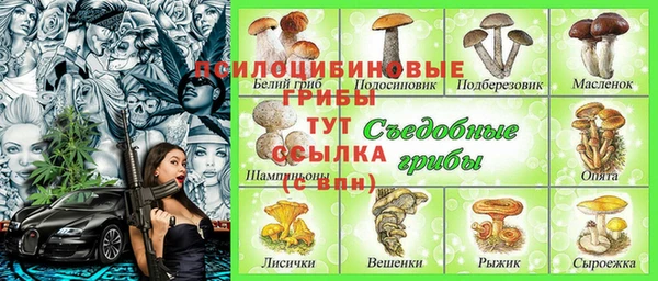ГАЛЛЮЦИНОГЕННЫЕ ГРИБЫ Алексин