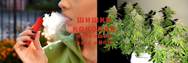ГАЛЛЮЦИНОГЕННЫЕ ГРИБЫ Алексин