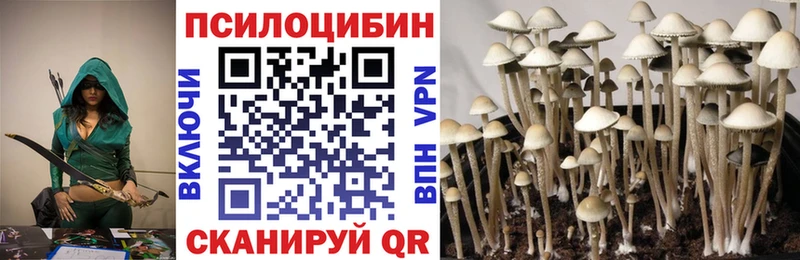 где продают   Лесосибирск  Галлюциногенные грибы мицелий 